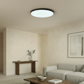 Round Ceiling Light