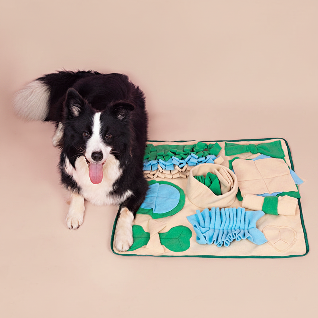 Dog sitting with snuffle mat - nude background