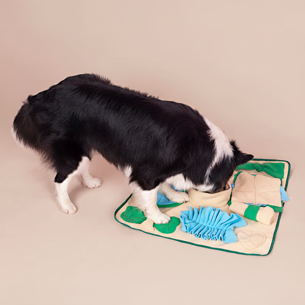 Dog sniffing snuffle mat - nude background
